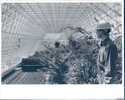 Biosphope Greenhouse Palm Trees Steel Structure Historic Vintage Photo 8x10