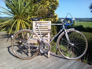 chrome road bike