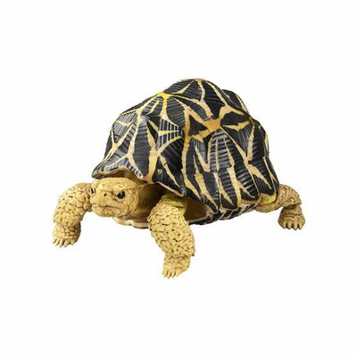 tortoise figure