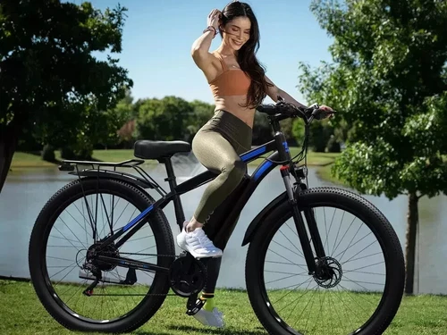 City E-Bike 29 Zoll Elektrofahrrad 15AH 750W Pedelec 25km/h Ebike Damen/Herren