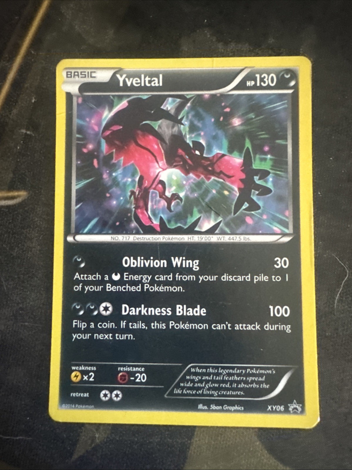 Yveltal XY06 XY Holo