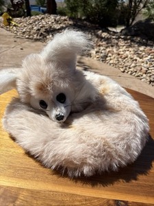 Vintage Plush Fox Toy Radio AM FM WORKS Radio Shack Exclusive