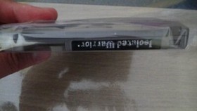 isolated warrior nes loose