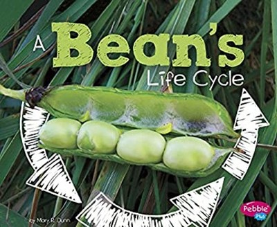 A Bean's Life Cycle Library Binding Mary R. Dunn