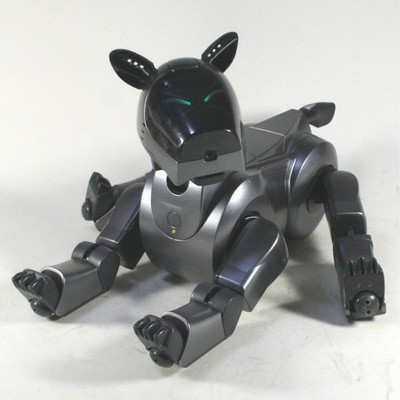 Sony AIBO ERS-210 Black Robot Dog Serviced Recelled Battery Working Japan