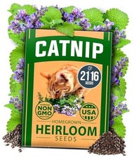  Non GMO Seeds (Bulk Pack) Heirloom Herb 2,116 Seeds - Indoor or Outdoor Catnip