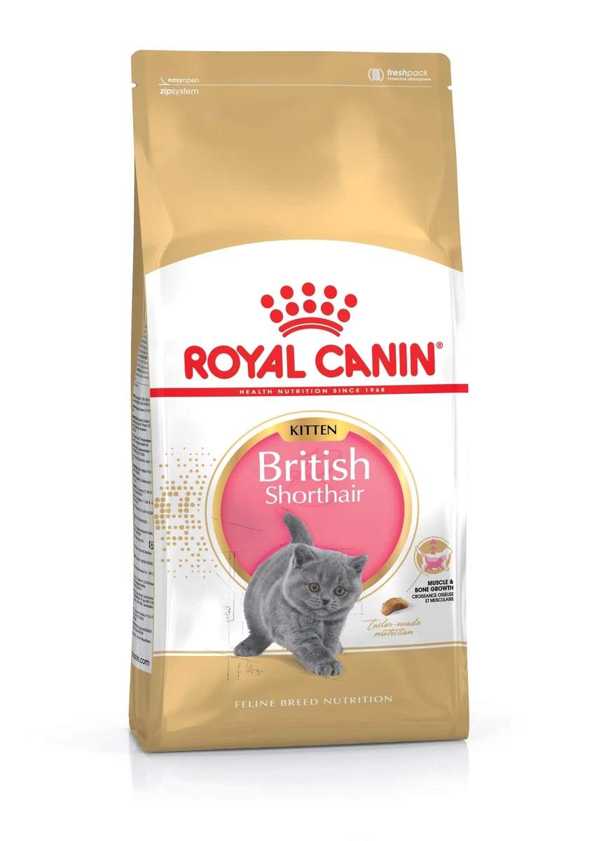 British shorthair dry clearance food