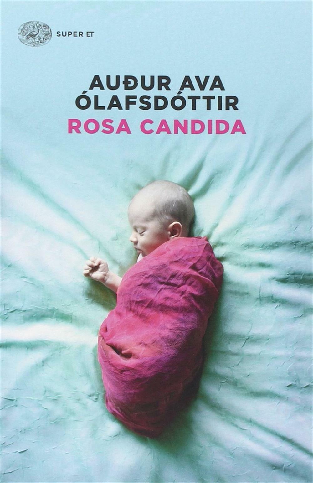 Rosa candida - Ólafsdóttir Audur Ava