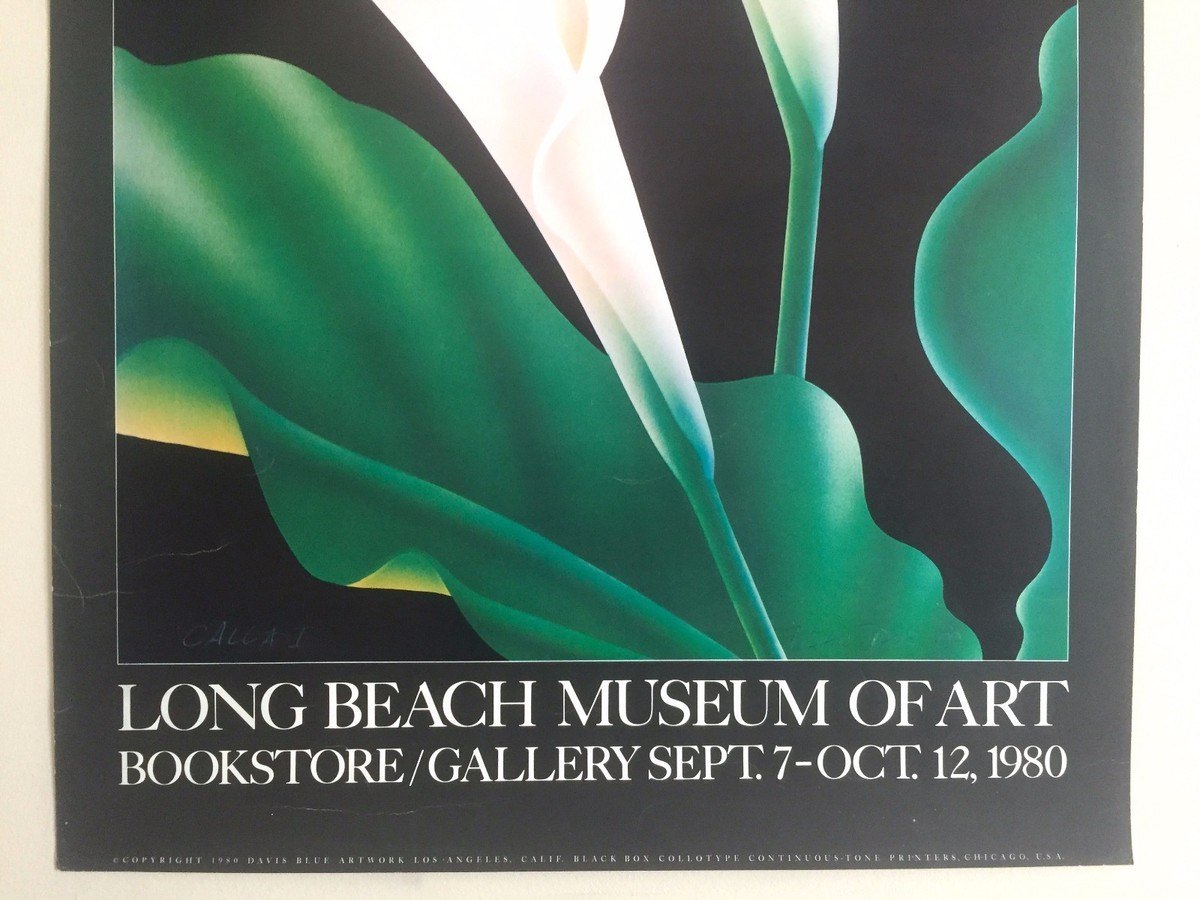 BRIAN DAVIS RARE VTG 1980 COLLOTYPE PRINT EXHBT POSTER LONG BEACH