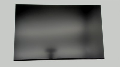 DISPLAY MODULE,16 inch, FHD+,1920x1200 WUXGA 165Hz Matte LCD