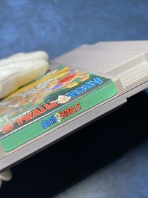 Arch Rivals NES Authentic Cartridge Acclaim