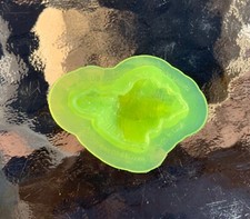 Lace Murex sea shell  Mold *Clear* by Marvelous Molds