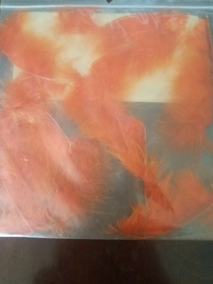 Gateway Archery Feather Arrow Tracer Hunting Fletchings 12/pack-Brand New-SHIP24 - Image 3 of 4