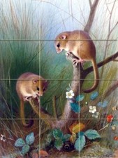 Tile Mural Wild Animal A. Thorburn Kitchen Shower Wall Backsplash Marble Ceramic