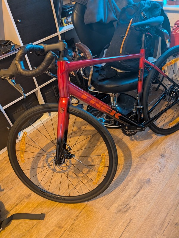 Trek Domane AL2  Gen 4  Road Bike 2025 56cm (Large)