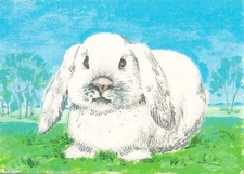 ACEO PRINT OF PAINTING REALISM RYTA  RABBIT BUNNY EASTER TREES FOLK ART Decor 🌳