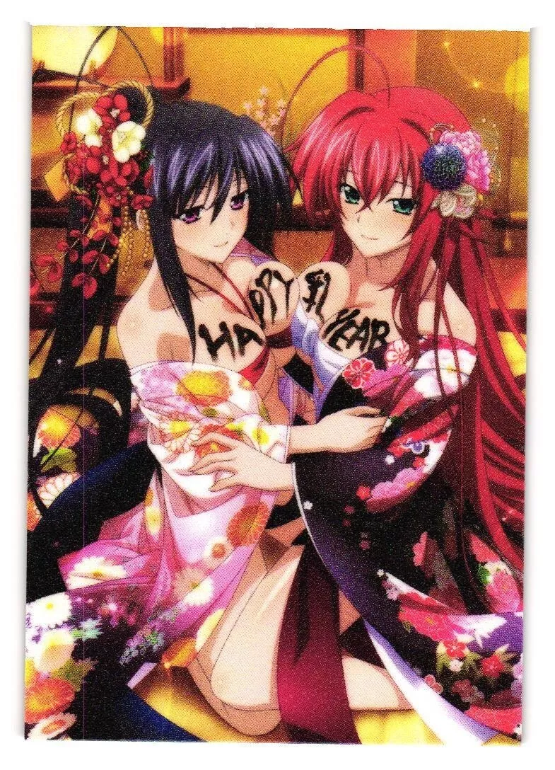 Rias Gremory Xmas High School DxD Custom Fan Art Anime Goddess Story Card  Girl