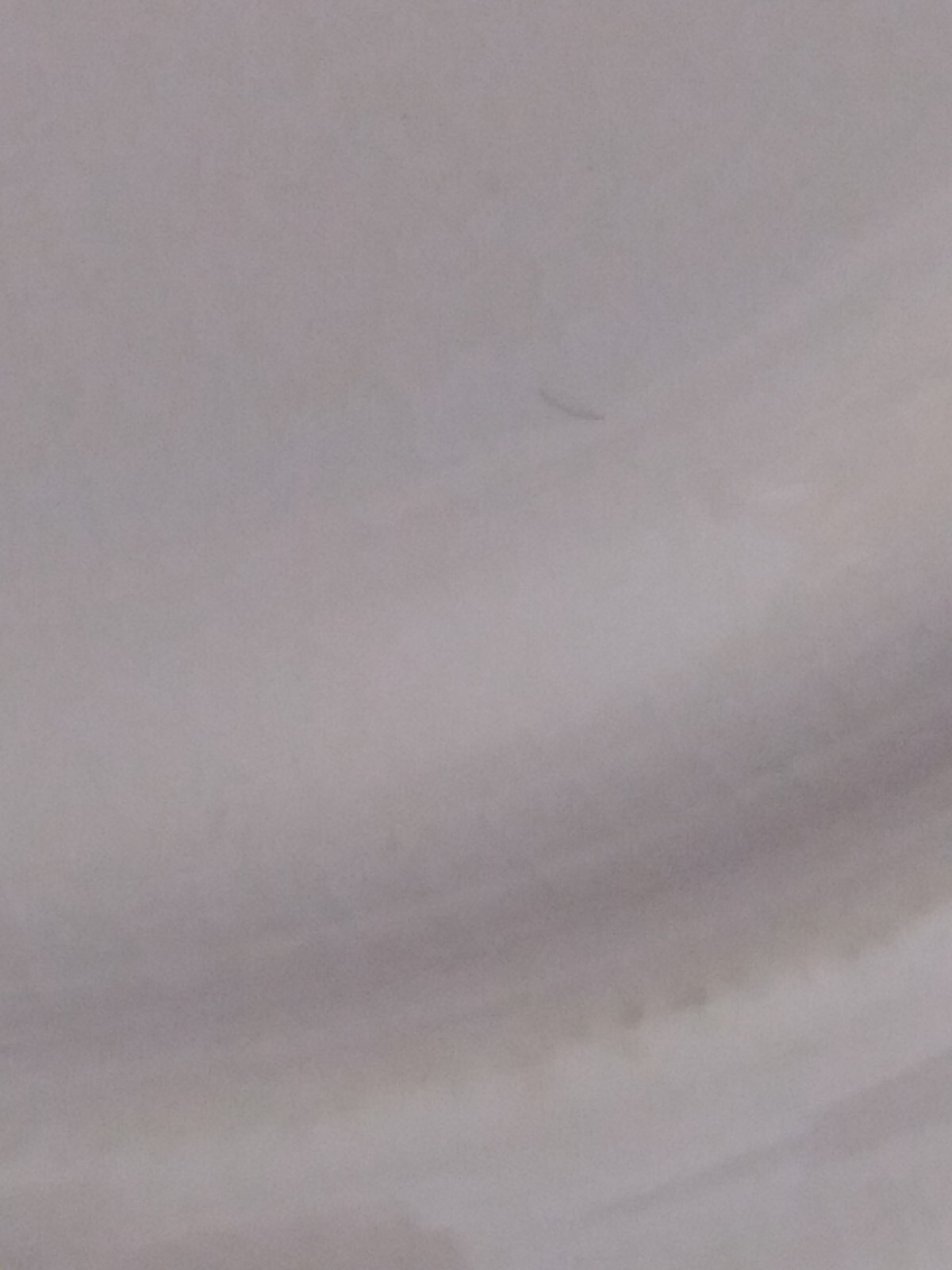Picture 11 of 13