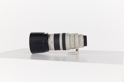 Canon EF 100-400mm 4.5-5.6 L IS USM