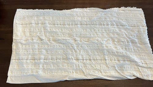 Bee & Willow ~ Pair Of Off White Frayed Pillowcases 18x32 Boho - Picture 4 of 8
