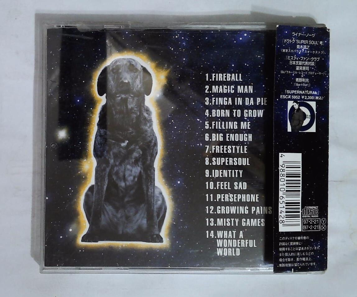 Misty Oldland – Luminous ESCA 6514 JAPAN CD OBI | eBay