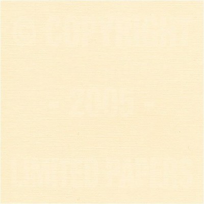 Limited Papers (TM). Pure White, Linen Finish, 24 Pound, No. 10 Envelope, (4.8 x