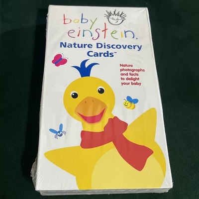 Vintage 2001 Baby Einstein Nature Discovery Cards 29 Flash Cards - Brand New