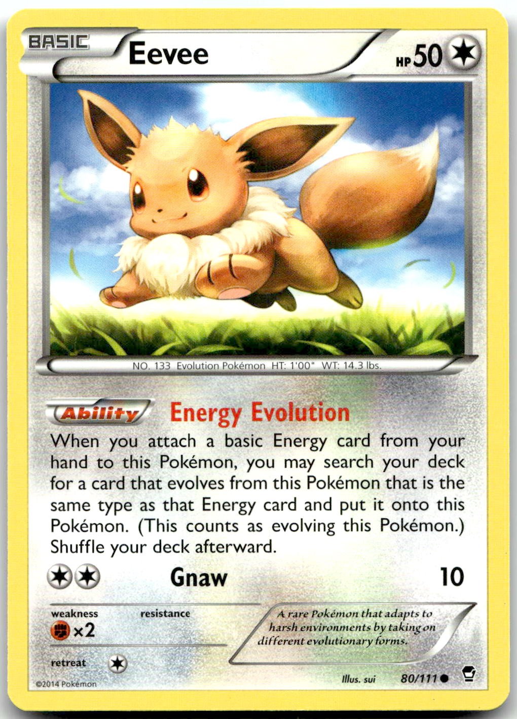 Pokemon Eevee - Furious Fists FFI #80/111 Common LP