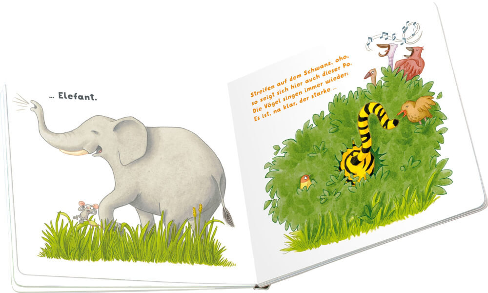 Thumbnail - Tessloff Schau Genau, Erkenn Das Tier Welchen Popo Siehst Du Hier?