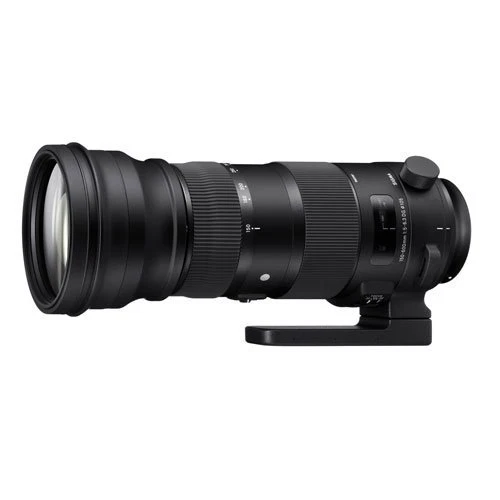 Sigma 150-600mm f/5-6.3 Camera Lenses for sale - eBay