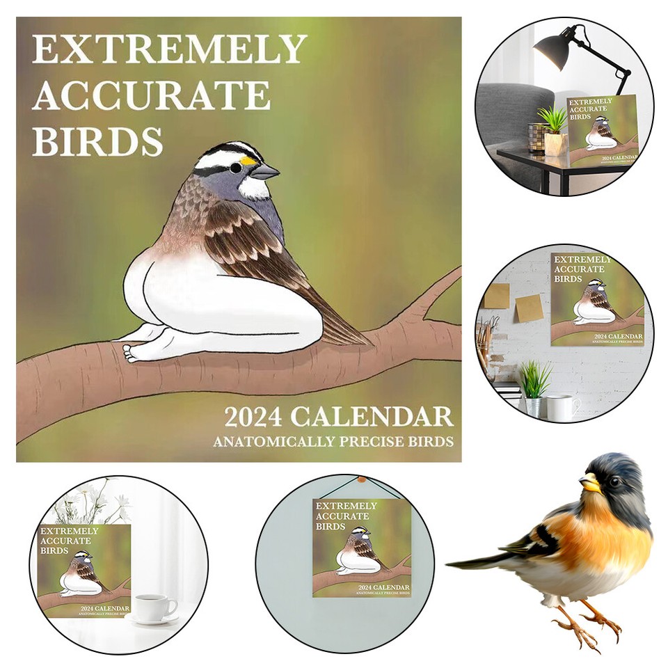  Extremely Accurate Birds Calendar 2024 Monthly Planner Wall Calendar