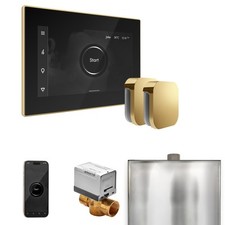 Mr Steam XButler Max Steam Ctrl-Pkg w/iSteamX Ctrl-Steamhead-Blk Pol Brass