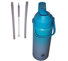 NEW Insulated 18oz Water Bottle BPA Free w/Soft Nozzle Straw Lid Brush Stainless