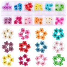 12 Colors Dried Flowers for Nail Art, 60pcs Mini Real Natural 3D Applique Nai...