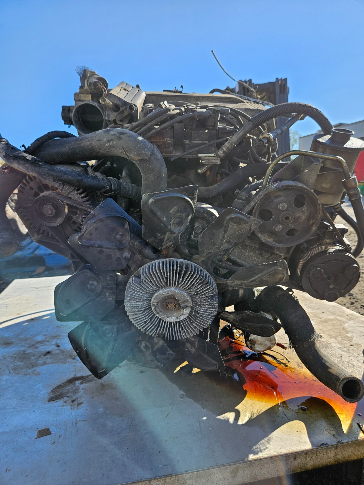 FORD 2000 302 GT40p ROLLER TAPPET LONG BLOCK W/4 BAR HEADS STAND BORE FOR BUILD eBay