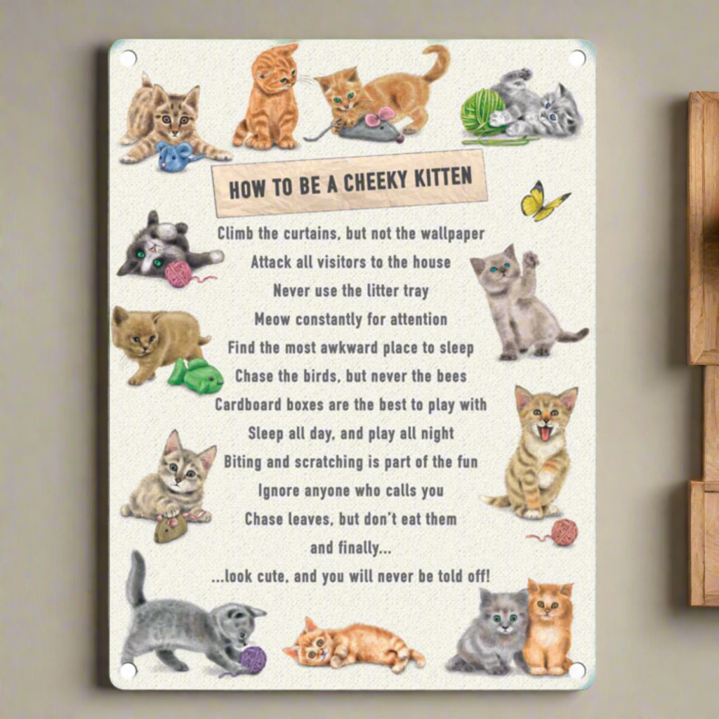 A Cheeky Kitten Cats Metal Hanging Plaque Sign Cat Lovers Vintage Retro Decor