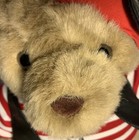 Bild 9 von 12