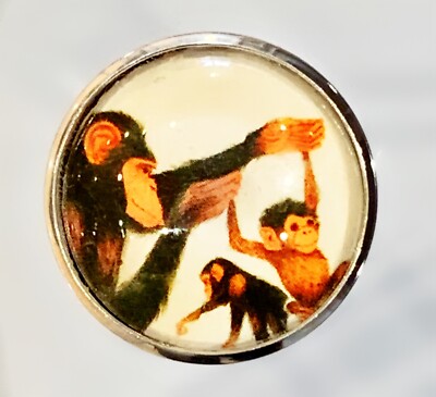 Charley Harper Chimp Chimpanzee Monkey Family 1'' Glass Sewing Button CH636