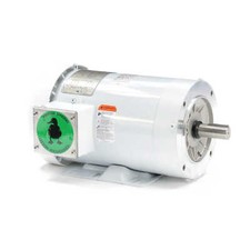 Leeson 121871.00 Electric Motor 1.5 HP 1750 Rpm 3PH 230/460 145TC C145T17WK31A