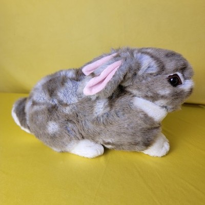 Realistic Bunny Rabbit Long Ears Back Brown Eyes White Grey Spotted Holland Lop