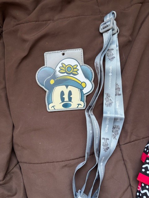 Disney Cruise Line DCL Lanyard, luggage tag and pirate bandanas