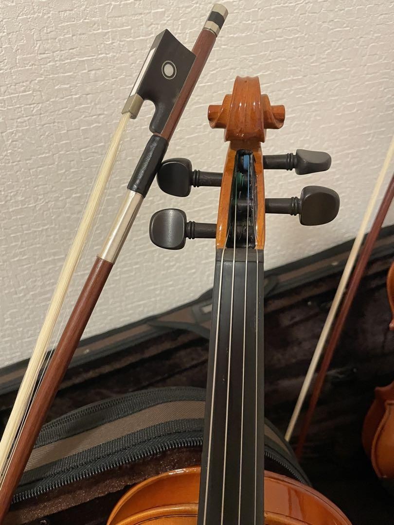 Stentor 2-Piece Violin Set with Bows, Cases & Instruction