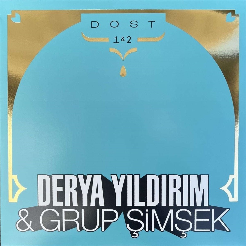 Dost 1&2 - Yildirim, Derya / Grup Simsek (Vinile)