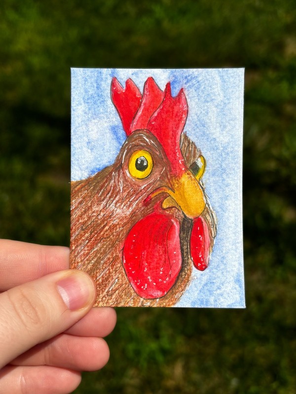 ACEO origional Painting, Watercolor/Mixed Media, Chicken, 2.5inx3.5in