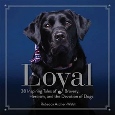 Loyal: 38 Inspiring Tales of Bravery, Heroism, and the Devotion of Dogs, Ascher-