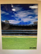 Sportsfield10'x20' Muslin 100 Airbrush Painted Photo Backdrop Background 27-229