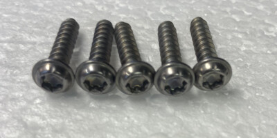 5 x PT-Schrauben Linsenkopf FLANSCH TORX für Kunststoffe EDELSTAHL  4mm x 18 mm