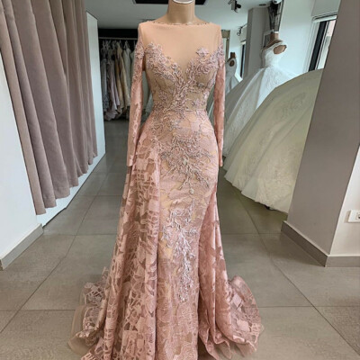 New Lace Appliques Mermaid Long Sleeve Prom Party Dress Celebrity Pageant Gown | eBay New Lace Appliques Mermaid Long Sleeve Prom Party Dress Celebrity Pageant Gown | eBay