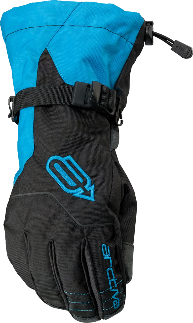 ARCTIVA Pivot Gloves Black Blue Large 33401412