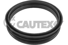 Carburateur Seat EXEO